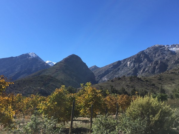 Morro La Cabra
