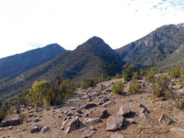 Vista al Morro La Cabra y cerro Maitén