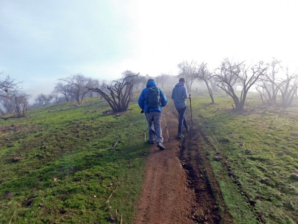 Camino de subida