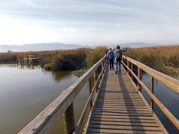 Pasarelas por la laguna