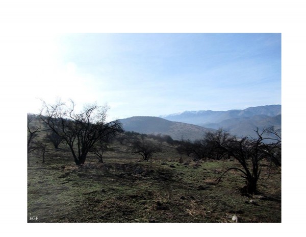 Cerro Reinoso
