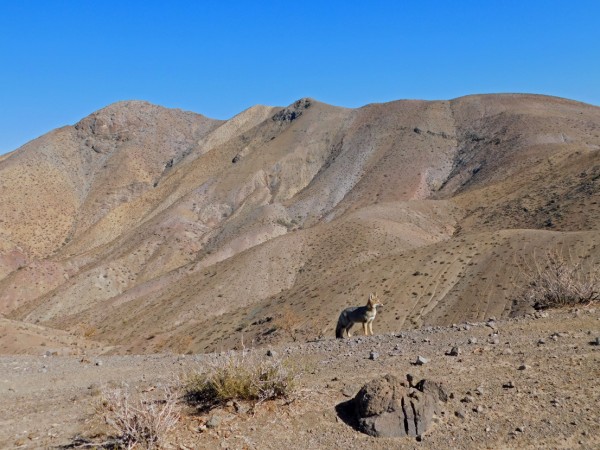 Cerro El Reloj