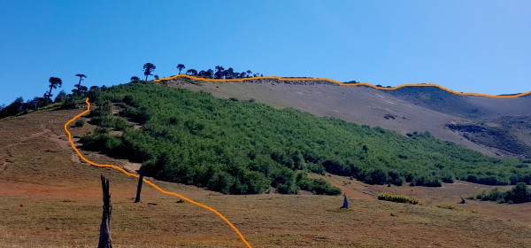 Ruta a filo de aproximación  este de salida del bosque.