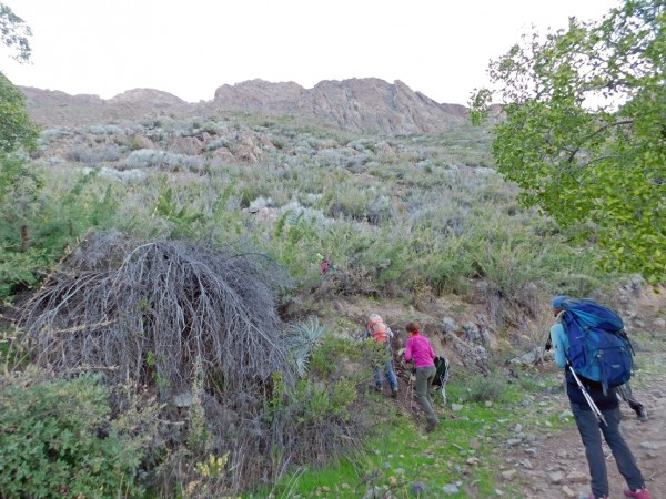 Sendero desde el camino minero