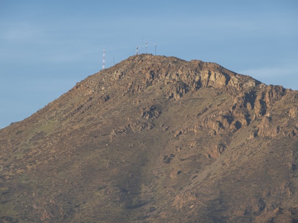 Algarrobo y sus antenas