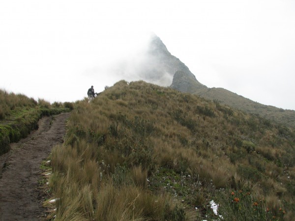 Sendero hacia la cumbre