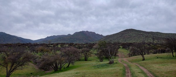 Cerro El Griego Cerro El Griego