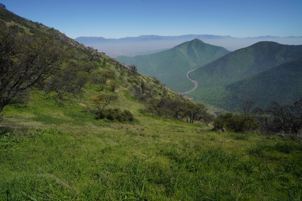 Cerro La Región en su versión más verde