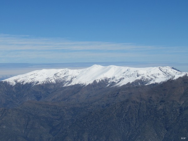 Cruzada las Hormigas invernal