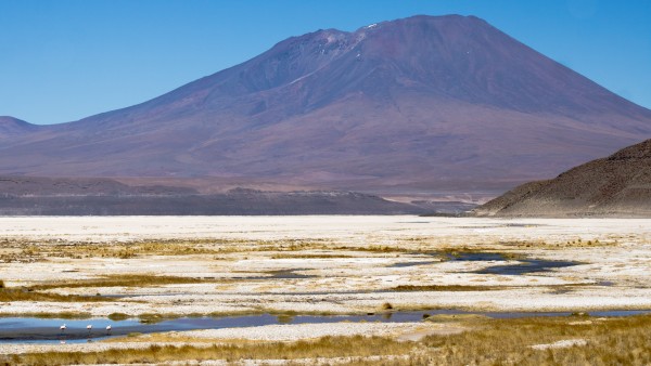 Palpana y salar Carcote