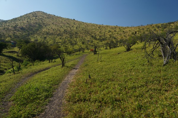 Primera ladera