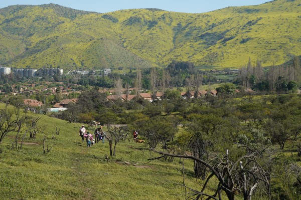 Familias de excursión