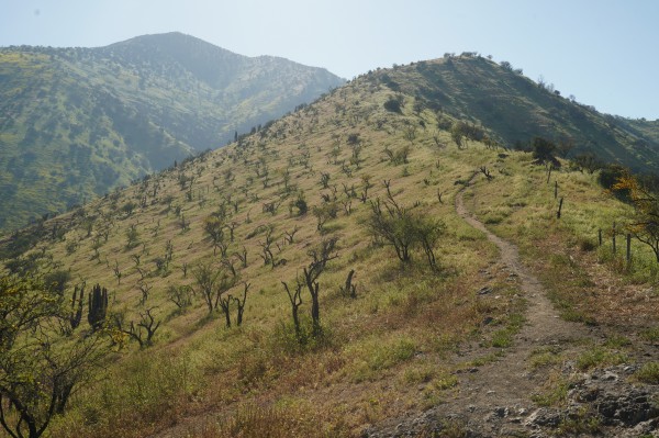 Subiendo la loma