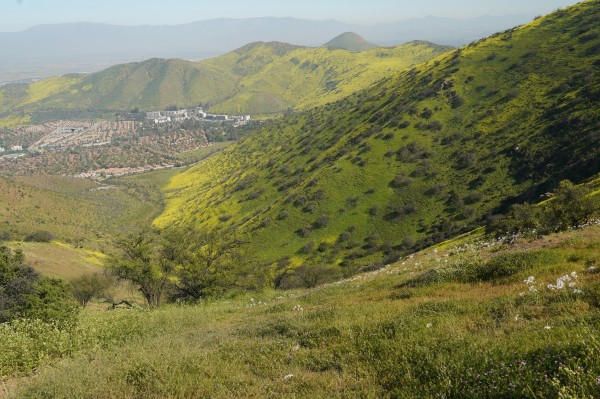 Quebrada Los Maitenes