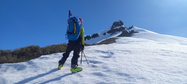 Llagada al hombro
