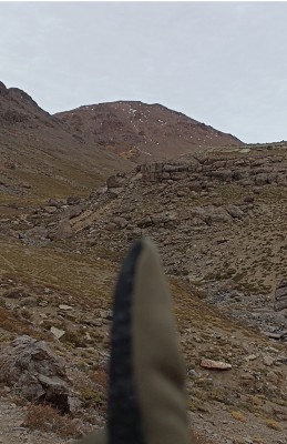 Cerro Alto El Mesón