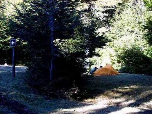 campamento bosque