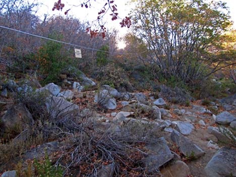 Sendero directo a la cumbre