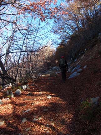 Camino a la cumbre