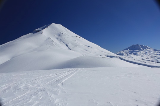 Lonquimay y Tolhuaca