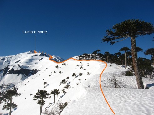 Ruta Ruta