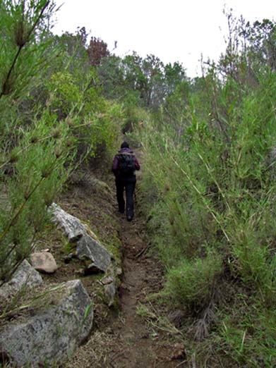 En el sendero