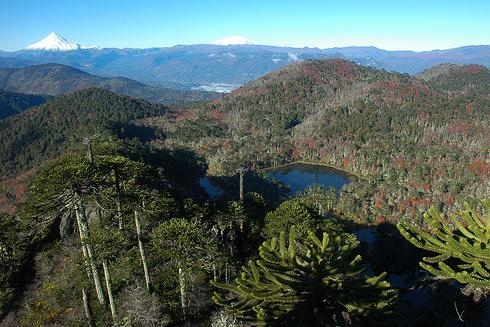 Cumbre Mirador El Cañi