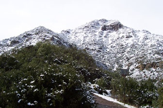 Pochoco inusulamente nevado