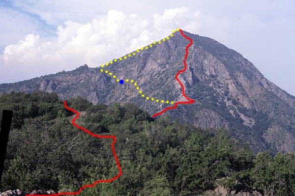 Variante ruta Bosques del Polo